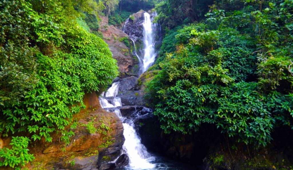 best hotel to stay at gokarna